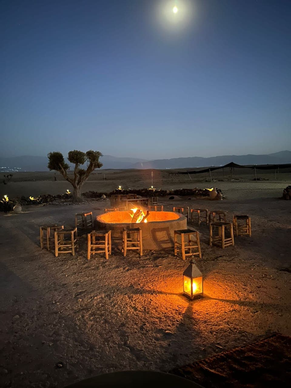 Marrakech Tours team of local experts and guides